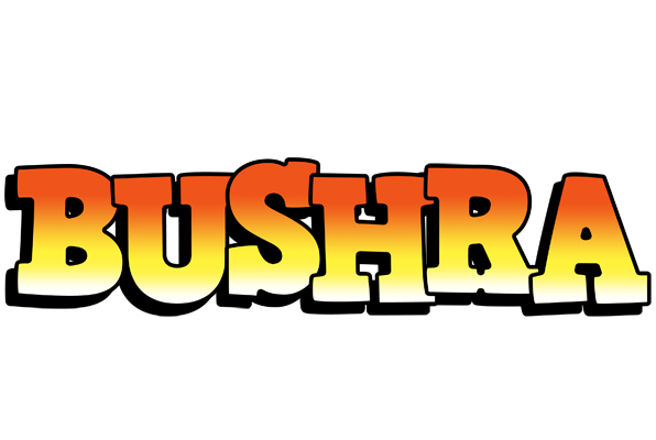 Bushra sunset logo