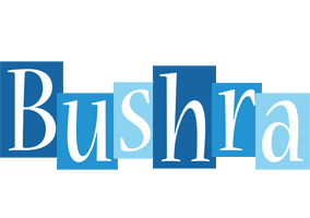 Bushra winter logo