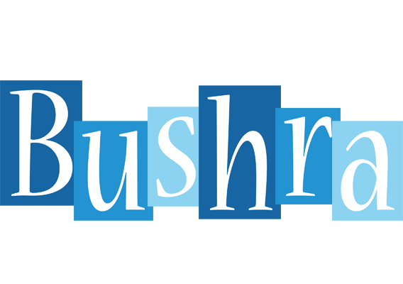 Bushra winter logo