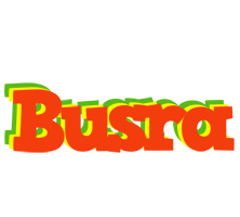 Busra bbq logo