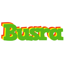 Busra crocodile logo