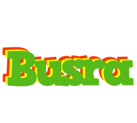 Busra crocodile logo