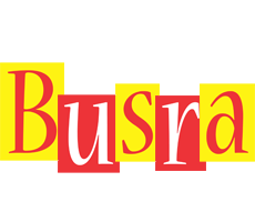 Busra errors logo