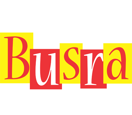 Busra errors logo