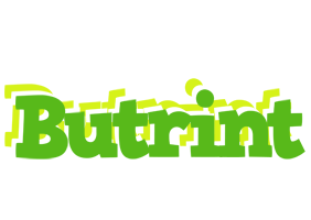 Butrint picnic logo