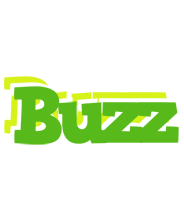 Buzz picnic logo