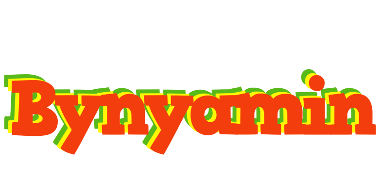 Bynyamin bbq logo
