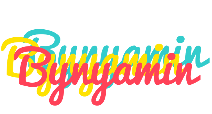 Bynyamin disco logo