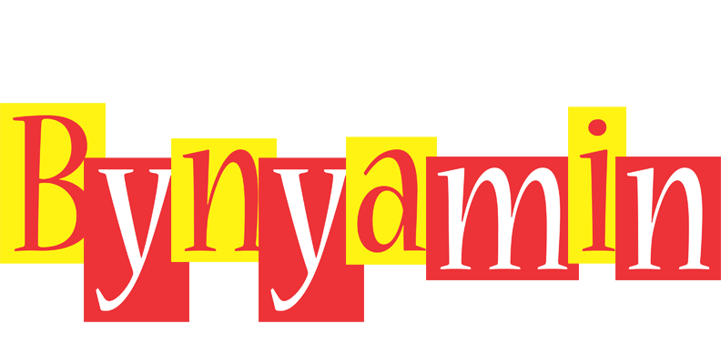 Bynyamin errors logo