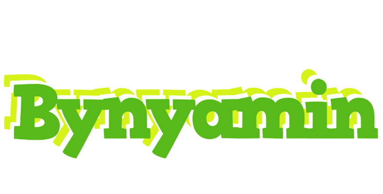 Bynyamin picnic logo