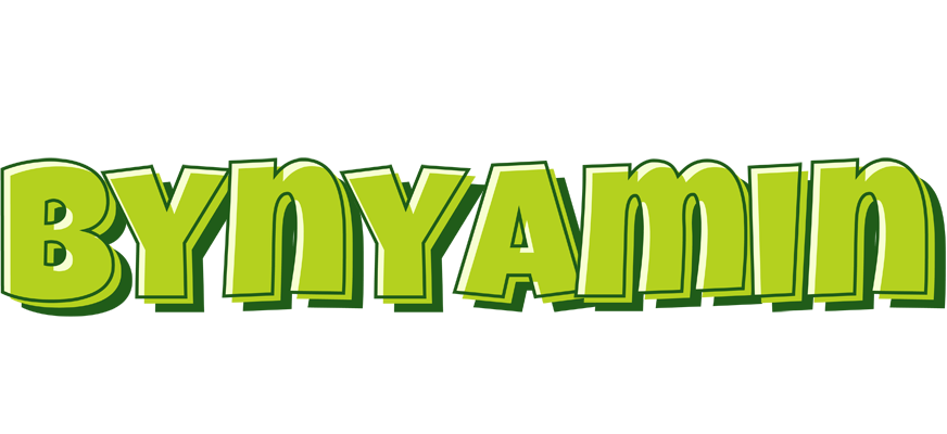 Bynyamin summer logo