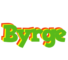 Byrge crocodile logo