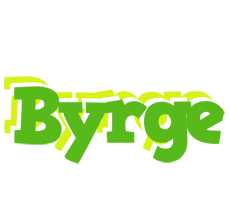 Byrge picnic logo