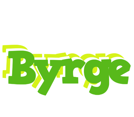Byrge picnic logo