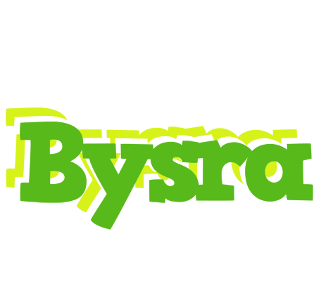Bysra picnic logo