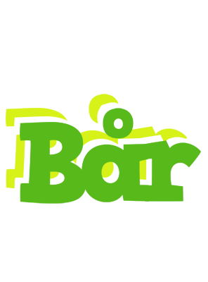 Bår picnic logo