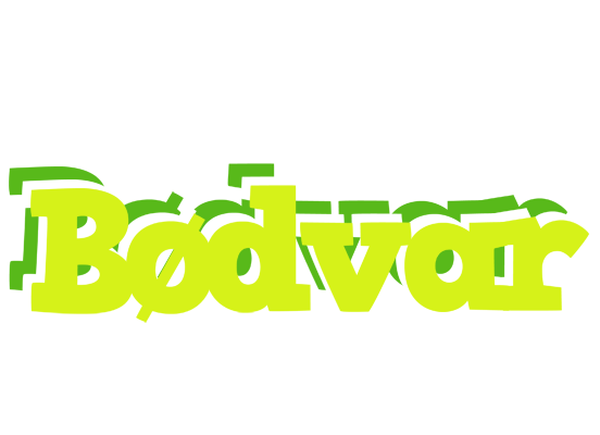 Bødvar citrus logo