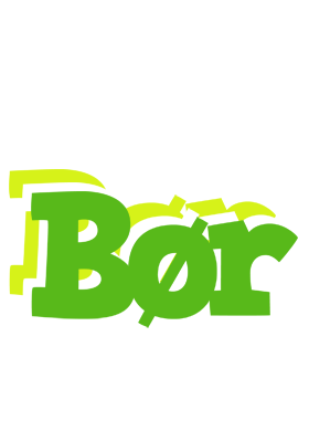 Bør picnic logo
