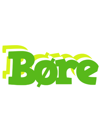 Børe picnic logo