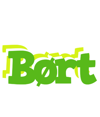 Børt picnic logo
