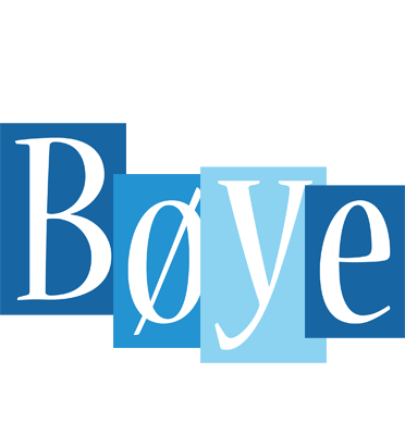Bøye winter logo