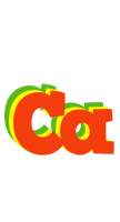 Ca bbq logo