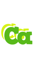 Ca picnic logo