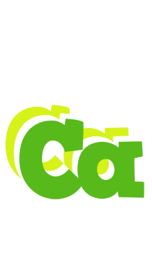 Ca picnic logo