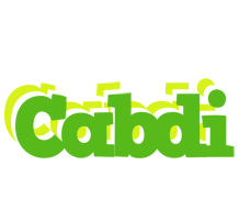 Cabdi picnic logo