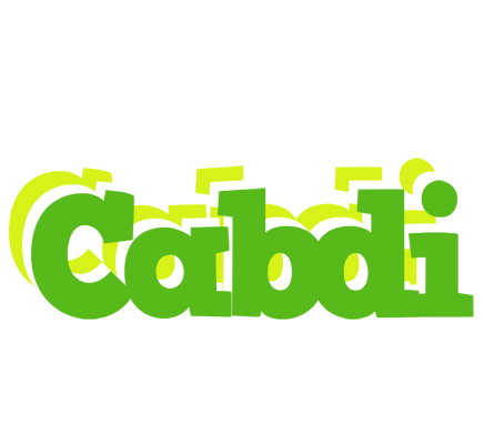 Cabdi picnic logo