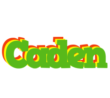 Caden crocodile logo