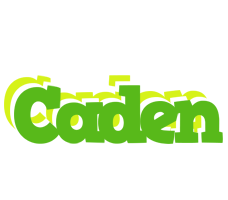 Caden picnic logo