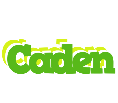 Caden picnic logo