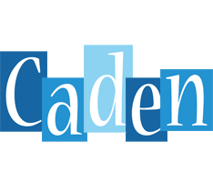 Caden winter logo