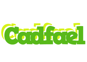 Cadfael picnic logo