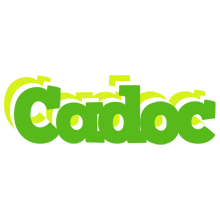 Cadoc picnic logo