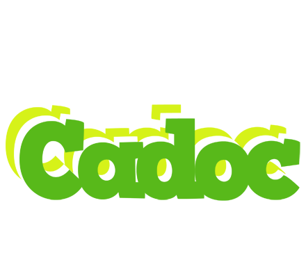 Cadoc picnic logo