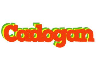 Cadogan bbq logo
