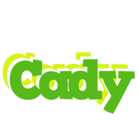 Cady picnic logo