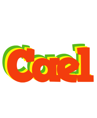 Cael bbq logo