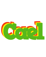 Cael crocodile logo