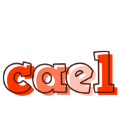 Cael paint logo