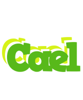 Cael picnic logo