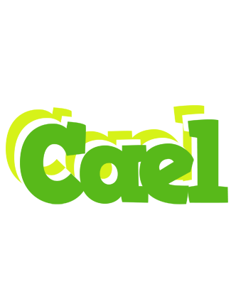 Cael picnic logo