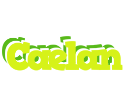 Caelan citrus logo