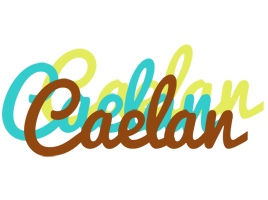 Caelan cupcake logo