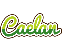 Caelan golfing logo