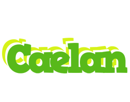 Caelan picnic logo