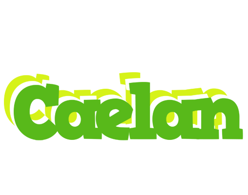 Caelan picnic logo