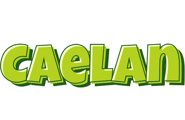 Caelan summer logo